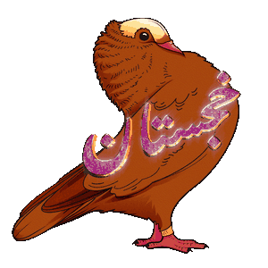KHAJISTAN glitter pigeon